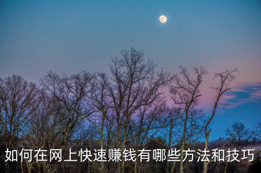 如何在網(wǎng)上快速賺錢有哪些方法和技巧