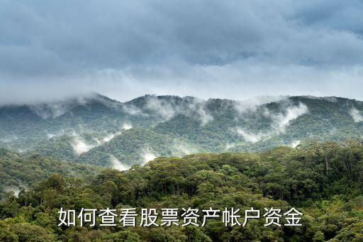 如何查看股票資產(chǎn)帳戶資金