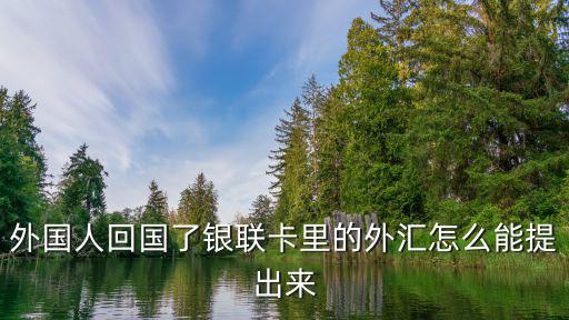 外國(guó)人回國(guó)了銀聯(lián)卡里的外匯怎么能提出來(lái)