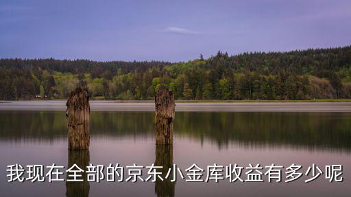 我現(xiàn)在全部的京東小金庫收益有多少呢