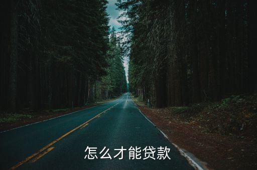 怎么才能貸款