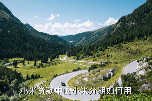 小米貸款中的小米分期如何用