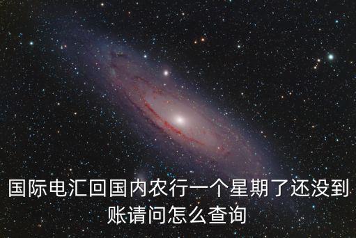 農(nóng)行怎么查外匯到賬，農(nóng)業(yè)銀行網(wǎng)上銀行給外國人匯款怎么匯