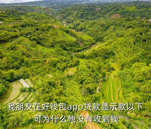 我朋友在好錢包app貸款顯示款以下 可為什么他沒有收到錢