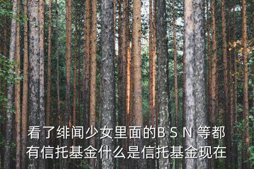 看了緋聞少女里面的B S N 等都有信托基金什么是信托基金現(xiàn)在