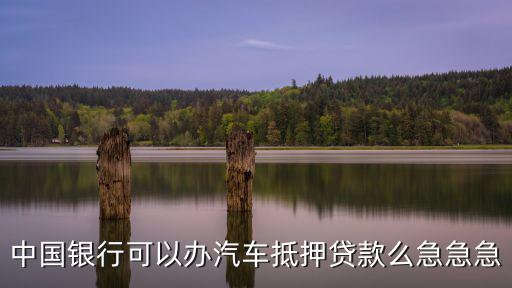 中國銀行可以辦汽車抵押貸款么急急急