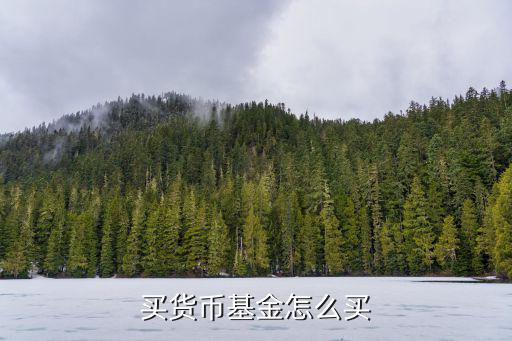 怎么買貨幣基金，貨幣基金怎么買