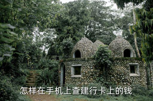怎樣在手機(jī)上查建行卡上的錢(qián)