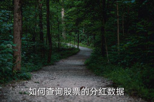 如何查詢股票的分紅數(shù)據(jù)