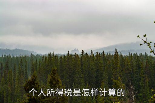 個人所得稅是怎樣計算的