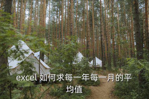 excel 如何求每一年每一月的平均值