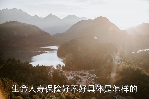生命人壽怎么樣，生命人壽保險好不好具體是怎樣的