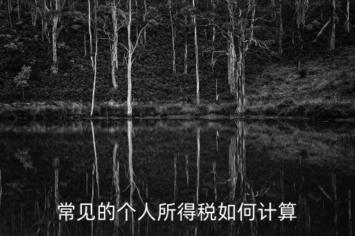 常見(jiàn)的個(gè)人所得稅如何計(jì)算