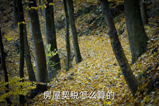 房屋契稅怎么算的