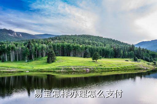 易寶怎么樣支付，易寶怎樣辦理怎么支付