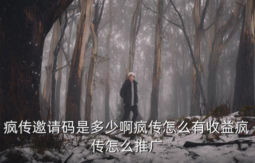 瘋傳邀請(qǐng)碼是多少啊瘋傳怎么有收益瘋傳怎么推廣
