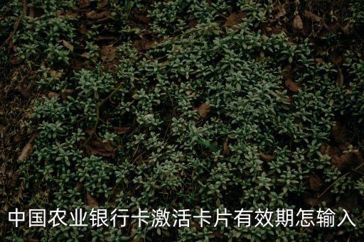 中國(guó)農(nóng)業(yè)銀行卡激活卡片有效期怎輸入