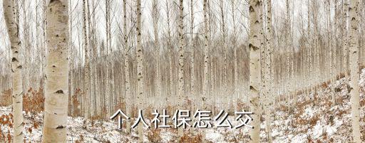 個人社保怎么交