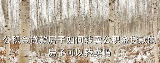 公積金貸款房子如何轉(zhuǎn)賣公積金貸款的房子可以轉(zhuǎn)賣嗎