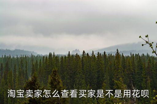 淘寶賣家怎么查看買家是不是用花唄