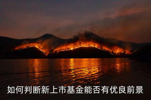 如何判斷新上市基金能否有優(yōu)良前景
