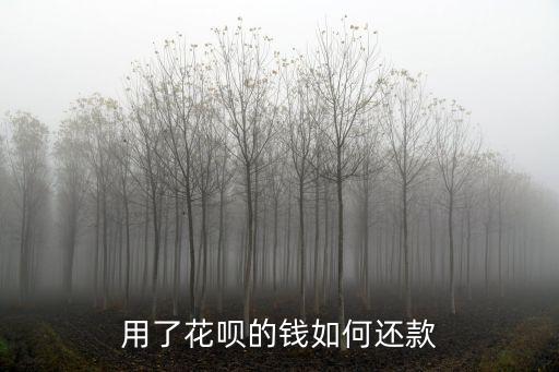 用了花唄的錢(qián)如何還款