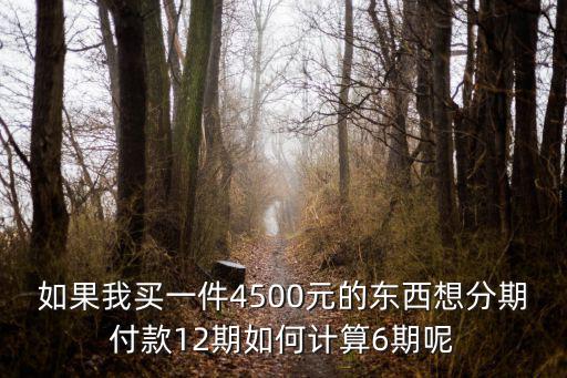 如果我買一件4500元的東西想分期付款12期如何計(jì)算6期呢