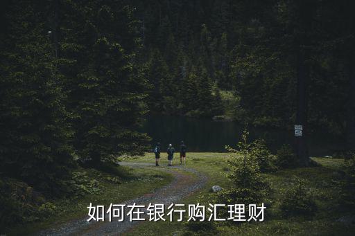 購(gòu)匯怎么操作，如何在銀行購(gòu)匯理財(cái)