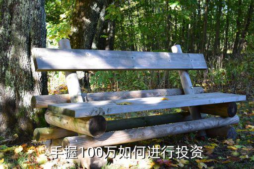 100萬(wàn)怎么投資，如果你有100萬(wàn)你會(huì)怎么投資