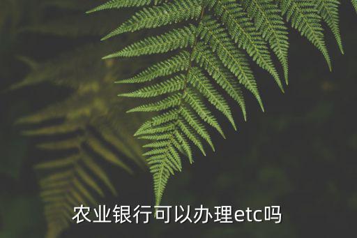 農(nóng)業(yè)銀行可以辦理etc嗎