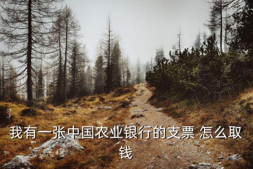 我有一張中國農(nóng)業(yè)銀行的支票 怎么取錢