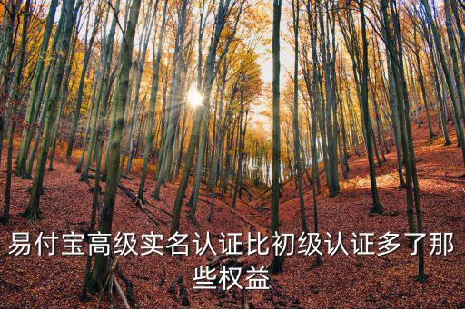 易付寶高級(jí)實(shí)名認(rèn)證比初級(jí)認(rèn)證多了那些權(quán)益