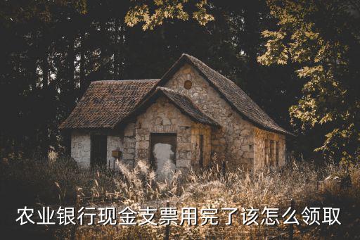 農(nóng)業(yè)銀行現(xiàn)金支票用完了該怎么領取