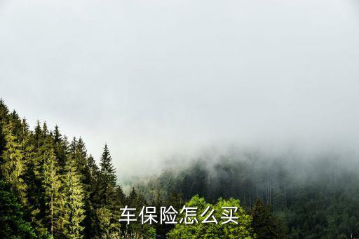 車保險(xiǎn)怎么買