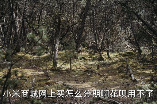 怎么才能使用小米分期付款嗎，小米商城怎么分期付款