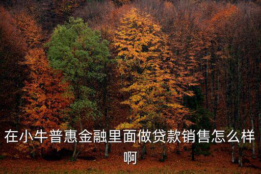 小額貸款銷售怎么樣，貸款公司做銷售怎么樣急求