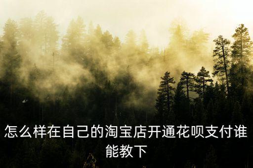 怎么樣在自己的淘寶店開通花唄支付誰能教下