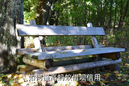 如何提高螞蟻借唄信用