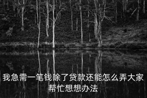 我急需一筆錢除了貸款還能怎么弄大家?guī)兔ο胂朕k法