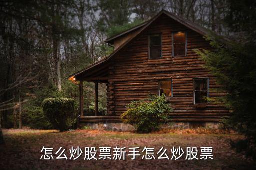 怎么炒股票新手怎么炒股票