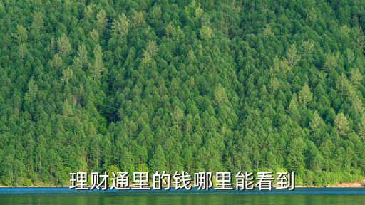 微信零錢理財怎么查詢，怎么查詢微信里面零錢支付的記錄