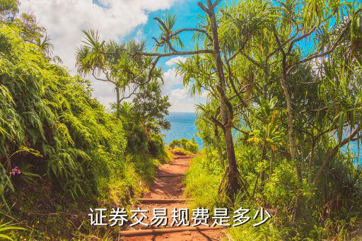 證券交易規(guī)費是多少