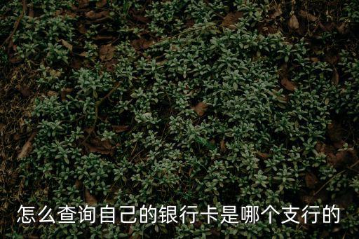 怎么查詢自己的銀行卡是哪個支行的