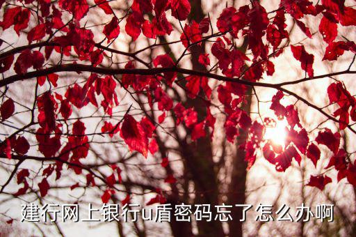 忘記建行u盾密碼怎么修改，建設(shè)銀行的網(wǎng)上銀行的U盾密碼忘了怎么辦