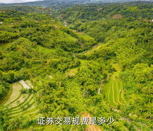 證券規(guī)費(fèi)怎么計(jì)算，證券交易規(guī)費(fèi)是多少