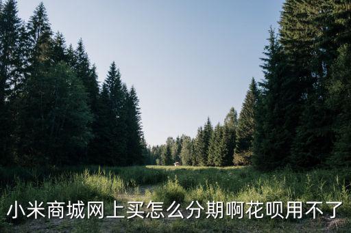 小米商城網(wǎng)上買怎么分期啊花唄用不了