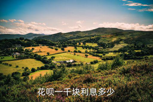 花唄一千塊利息多少