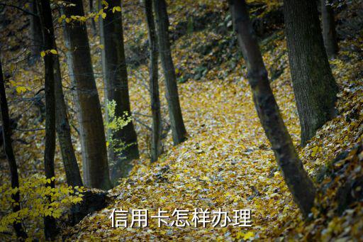 信用卡怎樣辦理