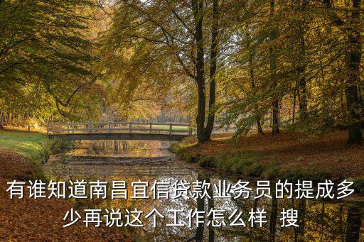 有誰知道南昌宜信貸款業(yè)務(wù)員的提成多少再說這個工作怎么樣  搜