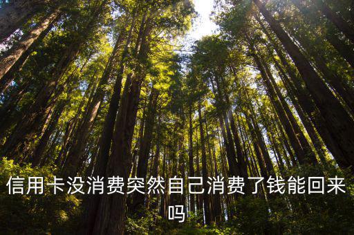 信用卡沒(méi)消費(fèi)突然自己消費(fèi)了錢(qián)能回來(lái)嗎